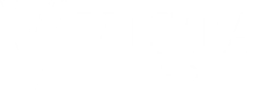 Vista United logo